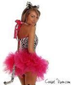 Hot Pink Zebra Corset Costume