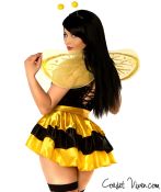 Queen Bee 4 Piece Corset Costume